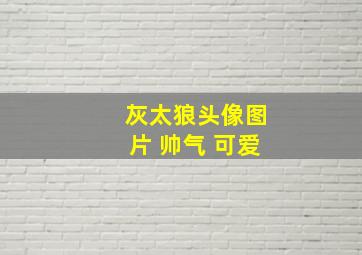 灰太狼头像图片 帅气 可爱